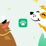 Dogo v10.12.1 MOD APK (Premium Unlocked)