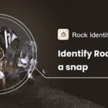 Rock Identifier: Stone ID v2.3.46 MOD APK (Premium Unlocked)