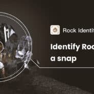 Rock Identifier: Stone ID v2.3.46 MOD APK (Premium Unlocked)