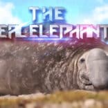 The Seal Elephant v1.1.4 MOD APK (Unlimited Money)