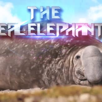 The Seal Elephant v1.1.4 MOD APK (Unlimited Money)