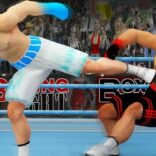 Punch Boxing Game: Ninja Fight v3.9.0 MOD APK (Unlimited Gold, Unlimited Stamina)