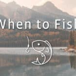 When to Fish v4.3.1 MOD APK (Premium Unlocked)