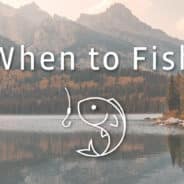 When to Fish v4.3.1 MOD APK (Premium Unlocked)