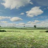 Polyfield v0.7.1 MOD APK (Mega Menu)