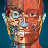 Anatomy Learning – 3D Anatomy v2.1.449 MOD APK [Premium Unlocked]