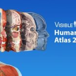 Human Anatomy Atlas 2024 v2026.00.019 MOD APK (All Unlocked)