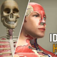 Idle Human MOD APK v1.23.3 (Unlimited Diamonds)