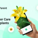 Plant Parent v1.97 MOD APK (Premium Unlocked)